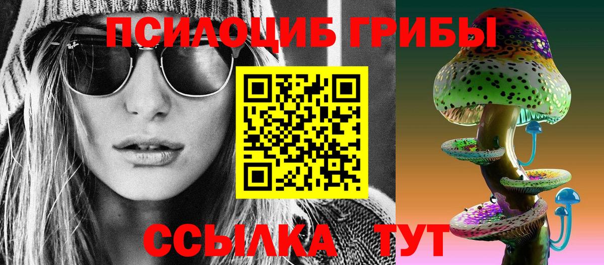 Санкт-Петербург  Псилоцибиновые грибы Psilocybe  Вход с VPN 