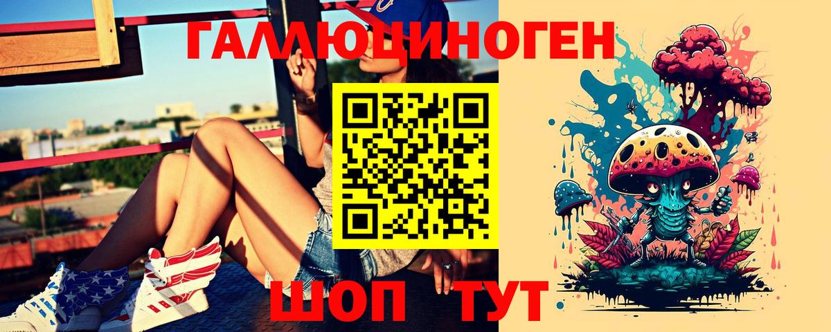 Галлюциногенные грибы Psilocybe Санкт-Петербург